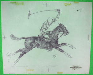 Paul Brown Polo Pencil On Acetate Drawing 4