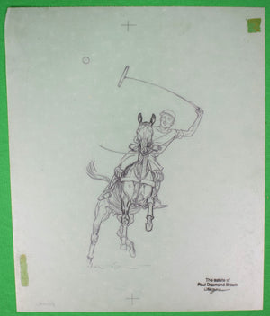 Paul Brown Polo Pencil On Acetate Drawing 7