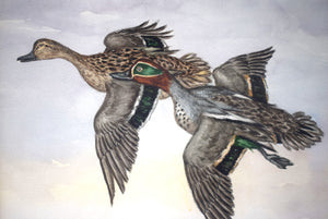 "Two Ducks In Flight Over Marsh" Watercolour Ex- C.Z. Guest Estate