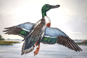 Three Ducks In Flight Over Marsh Ex- C.Z. Guest Estate