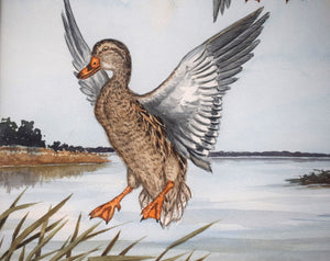 "3 Ducks in Flight" Watercolour by Jean Herblet Ex- C.Z. Guest Collection