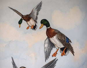 "3 Ducks in Flight" Watercolour by Jean Herblet Ex- C.Z. Guest Collection