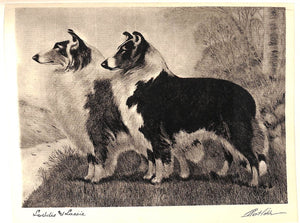 "Portraits Of Dogs" 1931 COBB, Bert