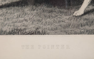 'The Pointer' c1879 Litho Plate from Arthur Ackermann & Sons (SOLD)