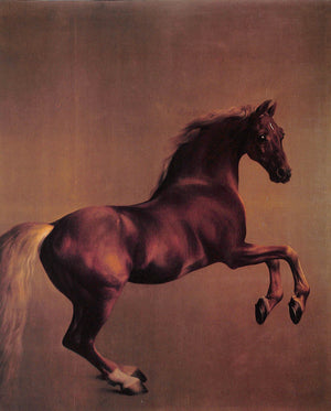 "George Stubbs 1724-1806" 1985