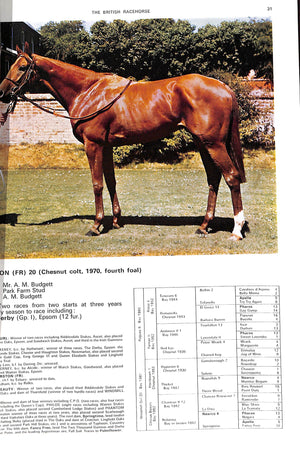 The British Racehorse: Spring Issue 1974