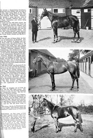 The British Racehorse: December Sales Issue 1955