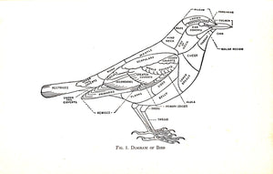 "Field Guide To Birds Of The West Indies" 1947 BOND, James (SOLD)