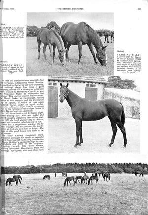 The British Racehorse: December Sales Issue 1955