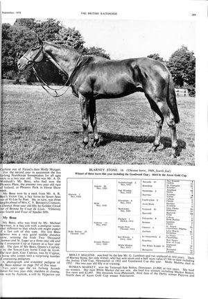 The British Racehorse: October Sales Issue 1954