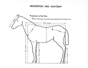 "Drawing Horses" 1956 PERARD, Victor