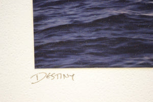 "Destiny" (SOLD)