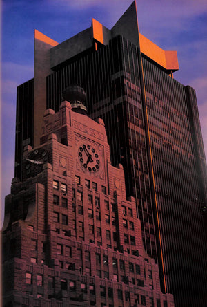 "New York In Photographs" 1980 WOLF, Reinhart