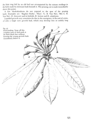 "The Rothschild Rhododendrons: a Record of the Gardens at Exbury" 1967 PHILLIPS, C.E. & BARBER, Peter N.