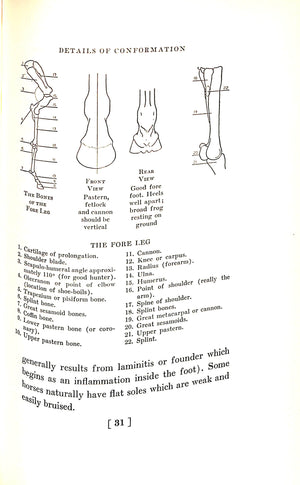 "Training Hunters, Jumpers and Hacks" 1937 CHAMBERLAIN, Harry D.