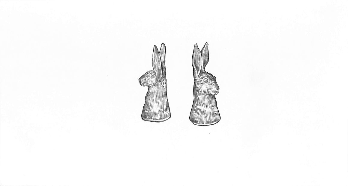 Hare Pepper & Salts Graphite Drawing