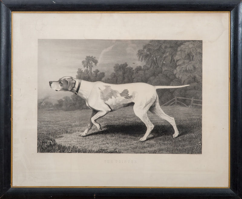 'The Pointer' c1879 Litho Plate from Arthur Ackermann & Sons (SOLD)