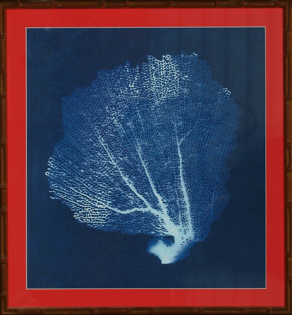 Silk Screen Blue Coral Fan w/ Gilt Bamboo Frame