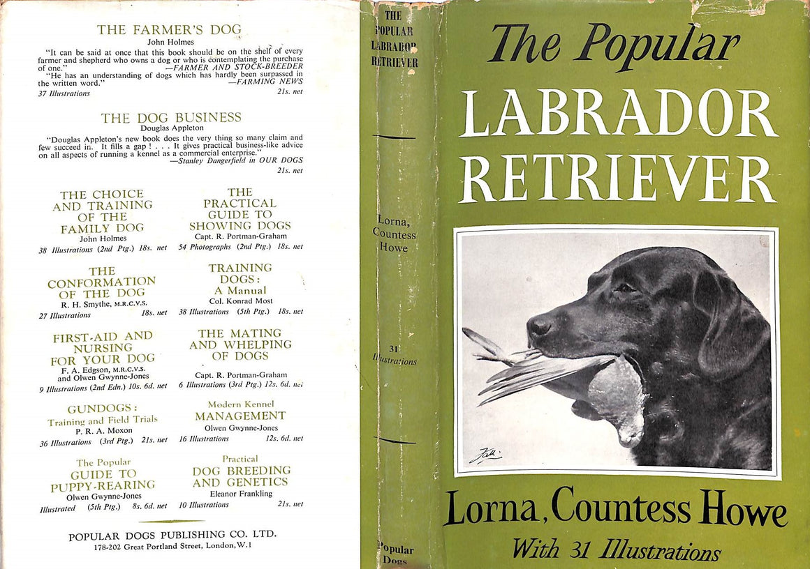 "The Popular Retriever" 1961 LORNA, Countess Howe