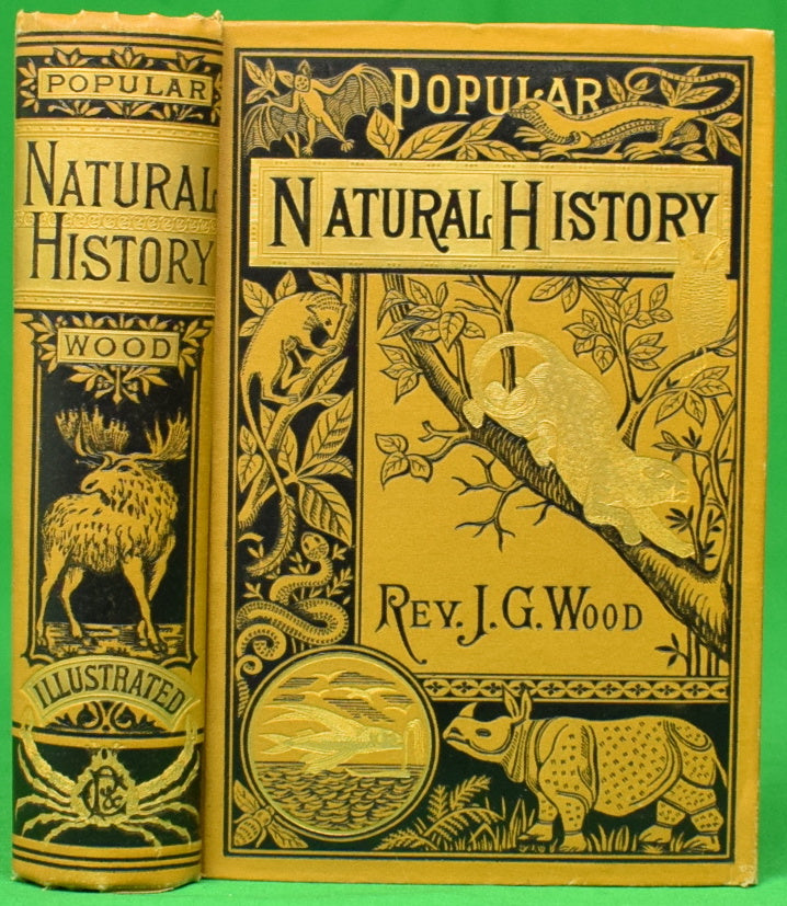 "Popular Natural History" WOOD, Rev. J. G.