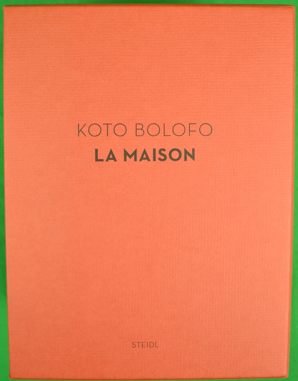 "Hermes La Maison" 2010 BOLOFO, Koto (SOLD)