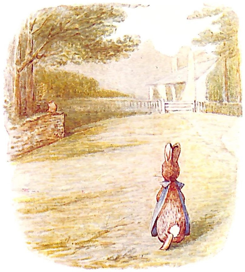 Flopsy Famous Rabbit