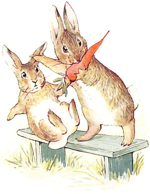 "The Story Of A Fierce Bad Rabbit" POTTER, Beatrix