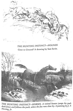 "Foxhunting In North America" 1988 MACKAY-SMITH, Alexander M.F.H.