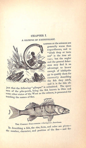 "Fishing In American Waters" 1875 SCOTT, Genio C. (SOLD)