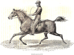 "The Trotting Horse Of America: How To Train And Drive Him" 1874 WOODRUFF, Hiram