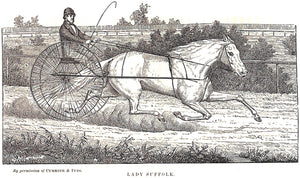 "The Trotting Horse Of America: How To Train And Drive Him" 1874 WOODRUFF, Hiram
