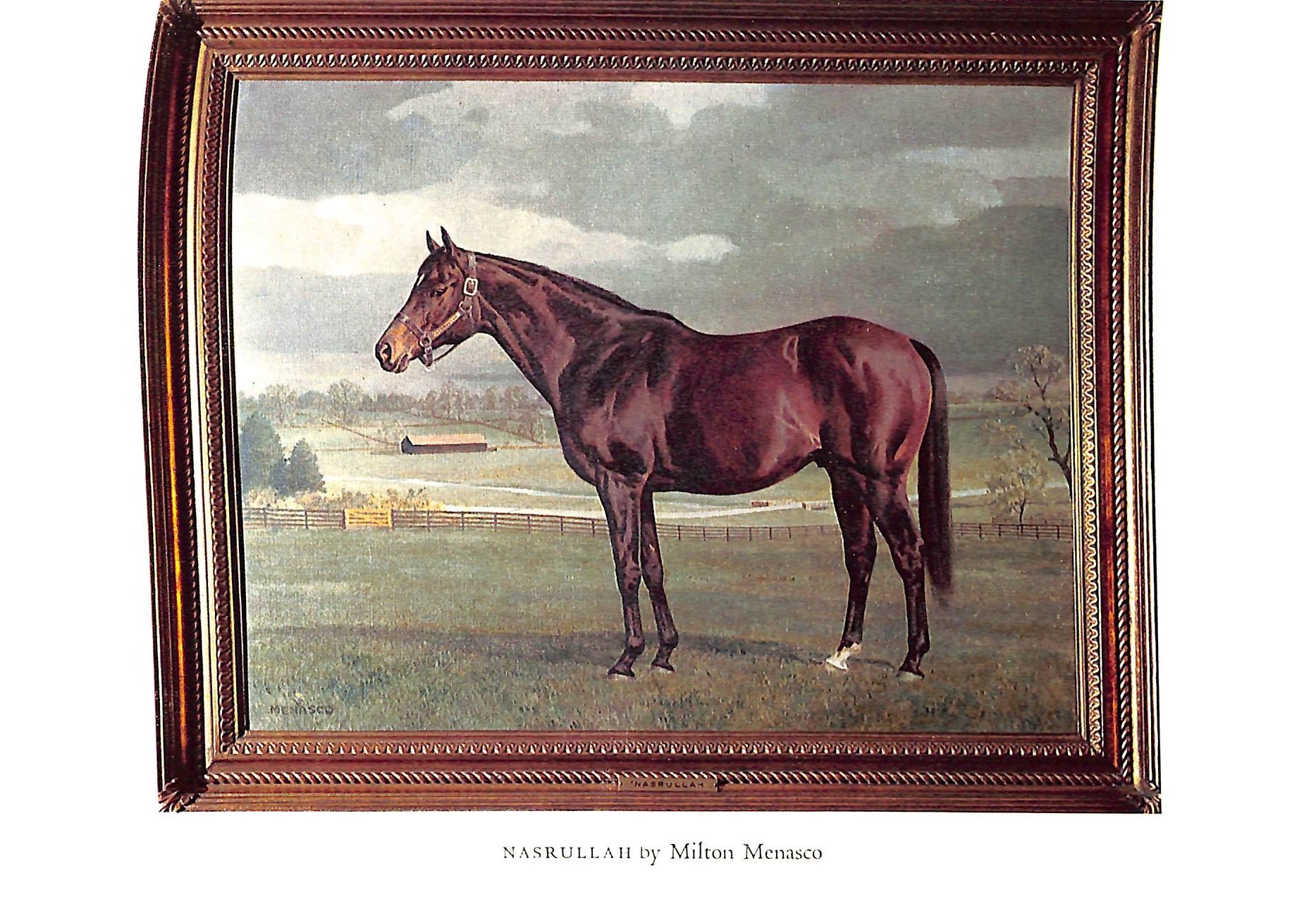 "International Stallions And Studs" 1974 SETH-SMITH, Michael