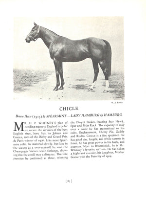 "Thoroughbred Types 1900-1925: Race Horses, Steeplechasers, Hunters, And Polo Ponies" 1926 VOSBURGH, W.S. LANIER, Charles D. BRYAN, Frank J. and COOLEY, James C.