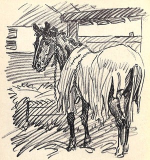 "Hi Guy: The Cinderella Horse" 1944 BROWN, Paul