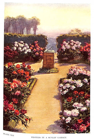 "Gardens Near The Sea" 1910 LOUNSBERRY, Alice