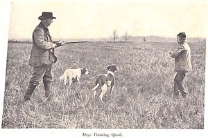 "Rob And His Gun" 1902 LINN, William Alexander