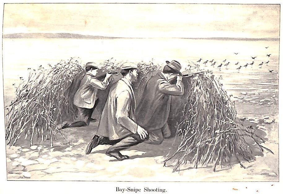 "Rob And His Gun" 1902 LINN, William Alexander