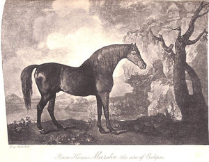 "Life Of George Stubbs R.A" 1898 GILBEY, Sir Walter [Bart.]