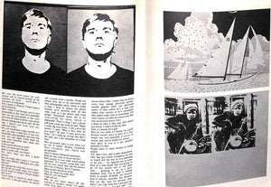 "The Autobiography And Sex Life Of Andy Warhol" 1971 WILCOCK, John