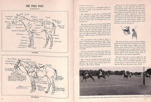 Polo Bostwick Field Summer Season 1947 w/ Paul Brown Cover Art