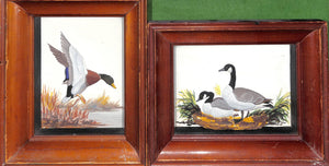Joseph Q. Whipple, Sr. Shadowbox Paintings "Mallard" & "Canada Geese"