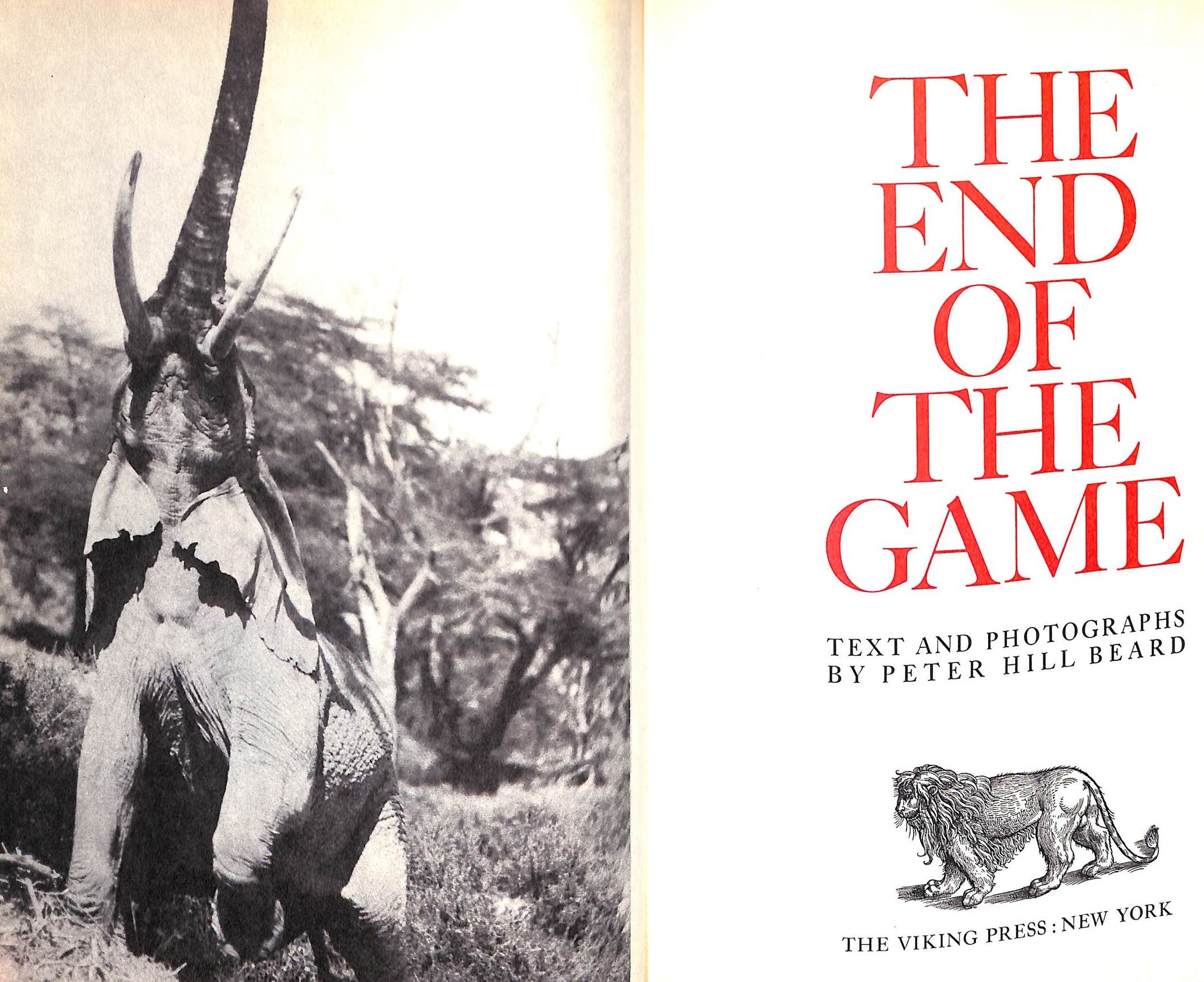 The End of the Game 1965 by Peter Hill Beard