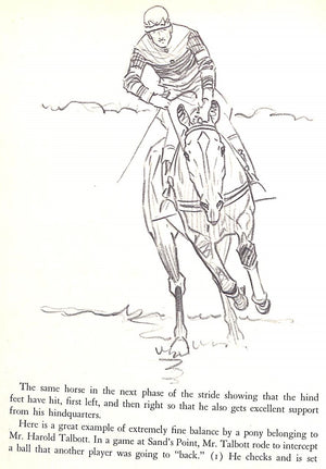 "The Horse: His Gaits, Points, & Conformation" 1943 BROWN, Paul