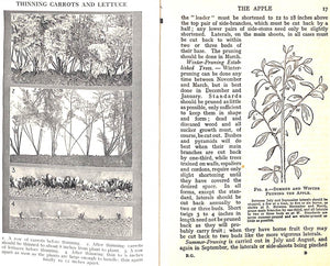 "Ward Lock's Book of Gardening"