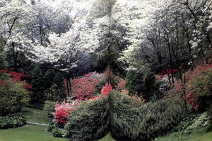 "The Gardens of Russell Page" SCHINZ, Marina [Photographs], van ZUYLEN, Gabrielle [Text]