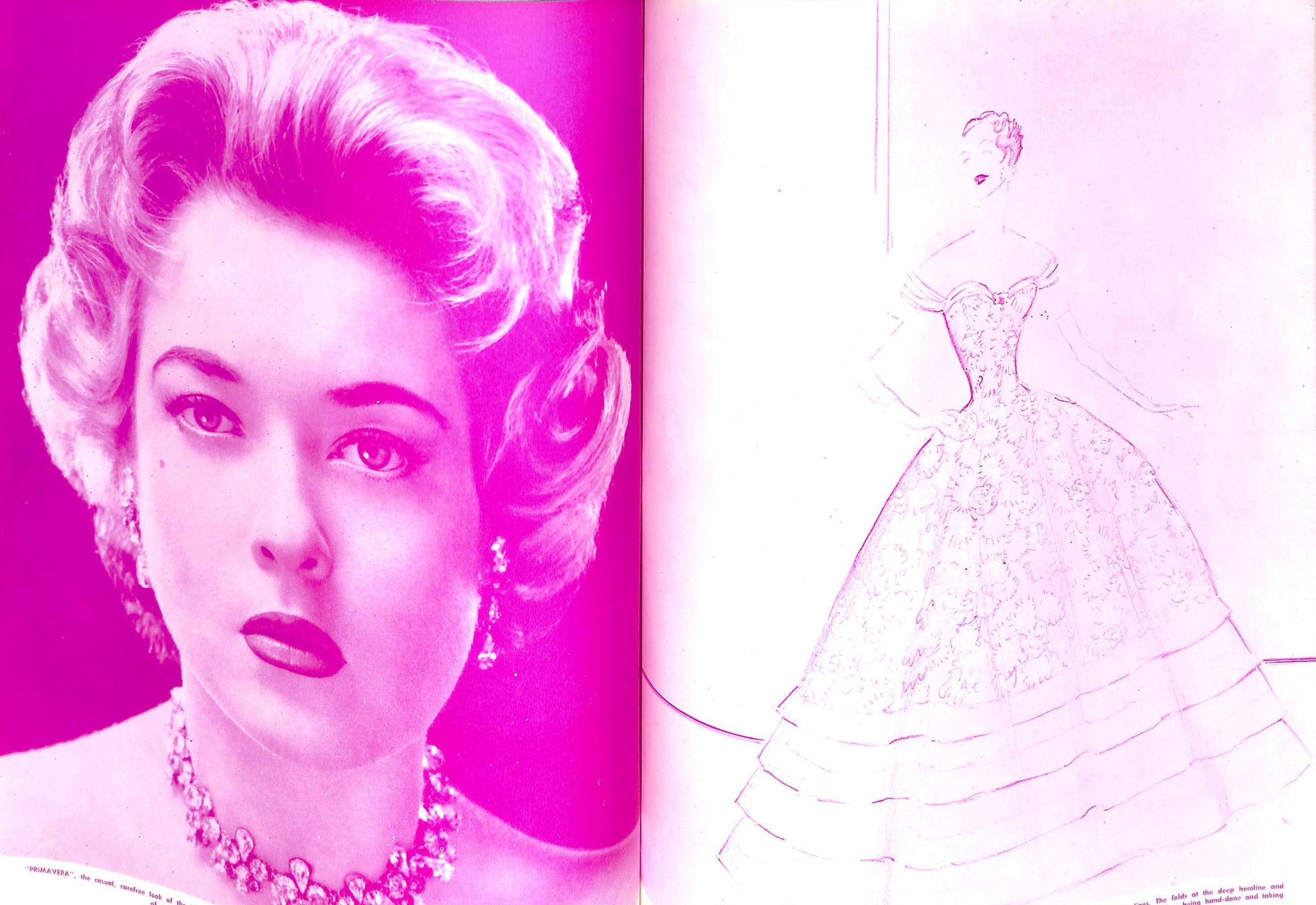 Palm Beach Life: March 1954