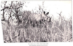 "African Game Trails: An Account Of The African Wanderings Of An American Hunter-Naturalist" 1910 ROOSEVELT, Theodore