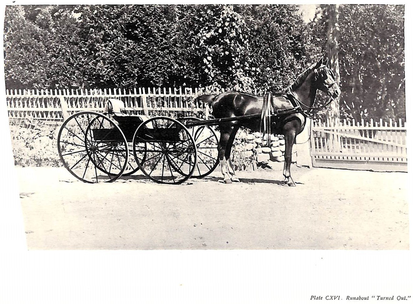 "Driving For Pleasure: Or, The Harness Stable And Its Appointments" 1896 UNDERHILL, Francis T.