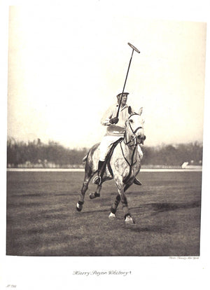"International Sport Polo" 1931 STOCK, Alphons