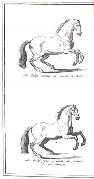 "L'Art De La Cavalerie, Ou La Manière De Devenir Bon Ecuyer" 1988 SAUNIER, Gaspard de